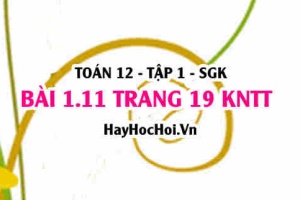 Bài 1.11 trang 19 Toán 12 tập 1 Kết nối tri thức